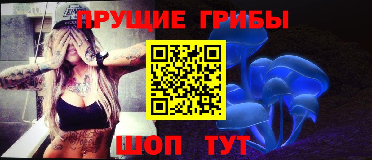 Глазов  Псилоцибиновые грибы Magic Shrooms  Вход с VPN 